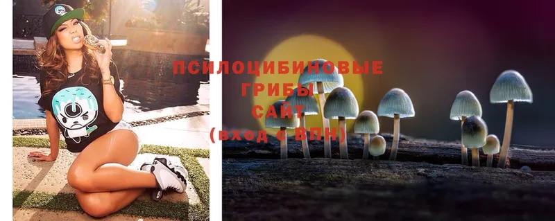 Галлюциногенные грибы MAGIC MUSHROOMS  мега зеркало  Морозовск  цена  